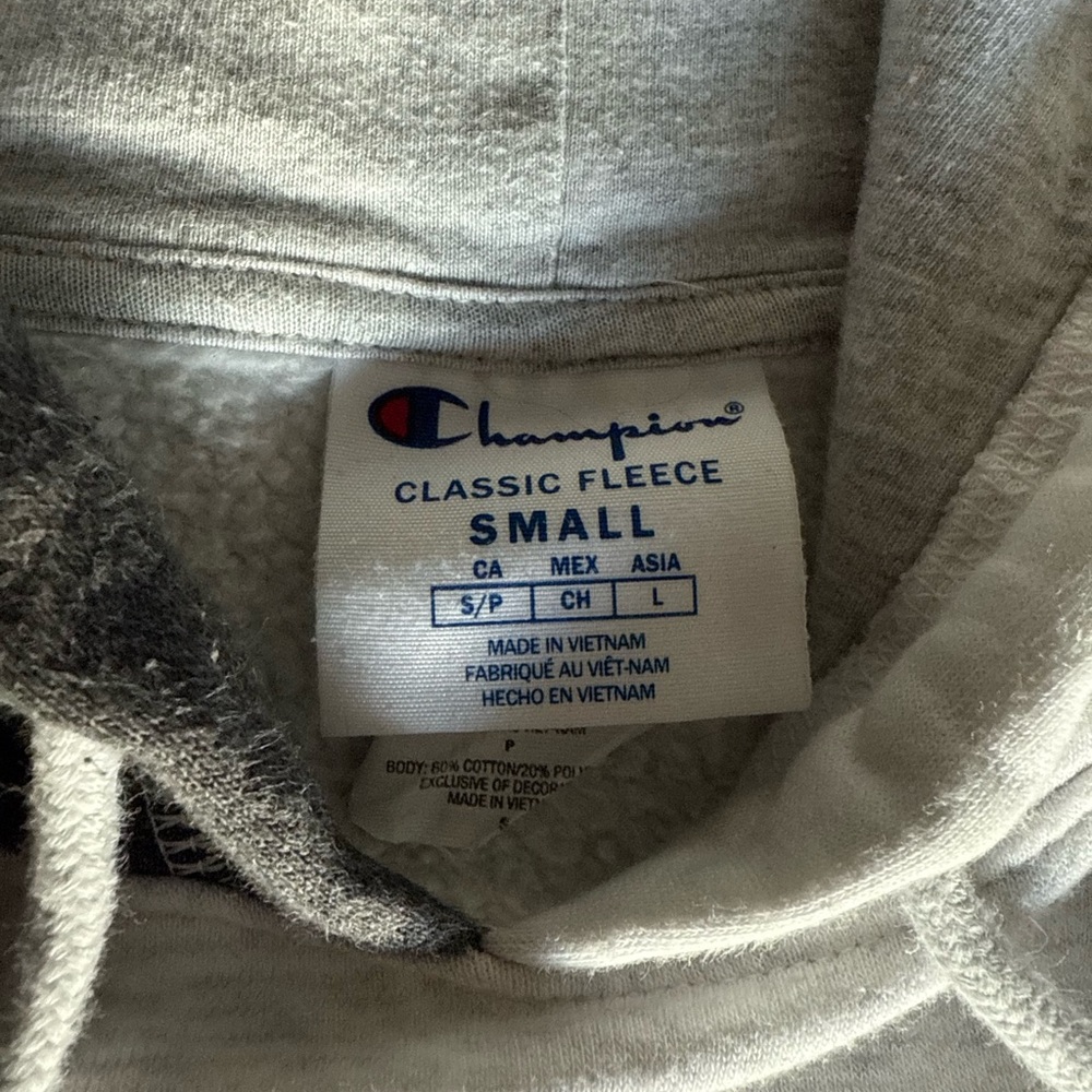 Champion Colorblock Men’s Hoodie - Picture 5 of 8
